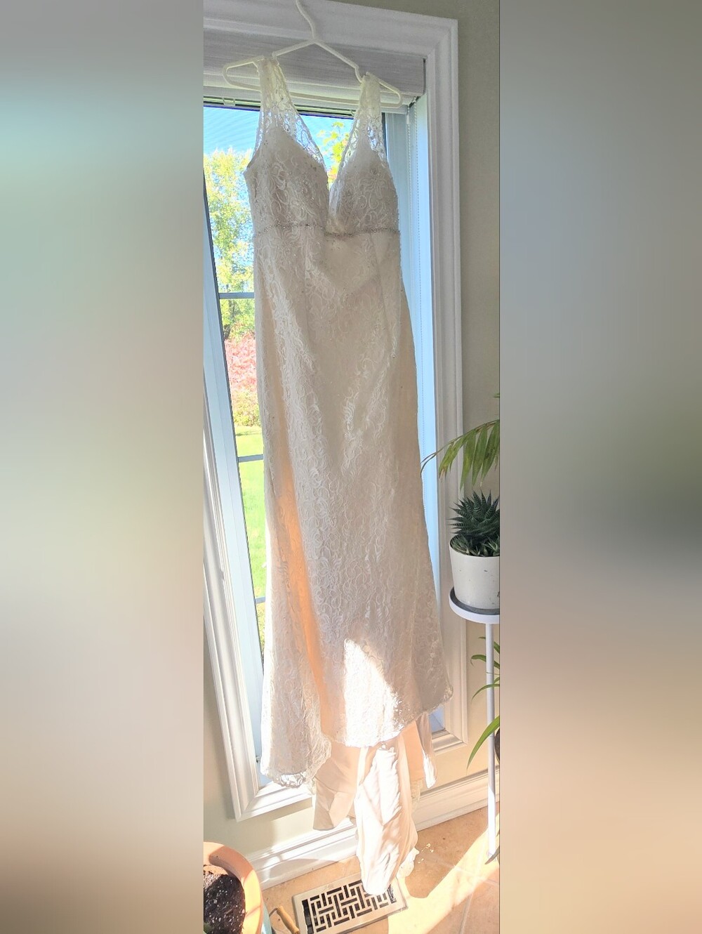 Elegant Cream Lace Wedding Gown (mermaid with train)